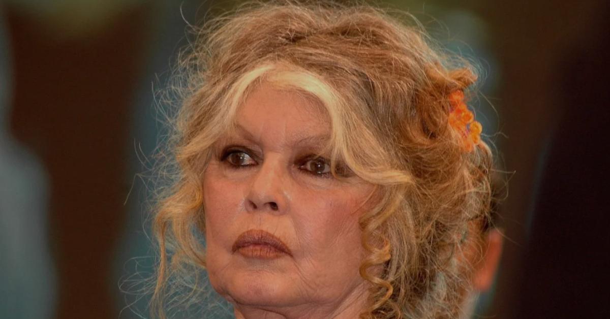 Brigitte Bardot ricoverata da 3 settimane e operata a Tolone per "una grave malattia", la 91enne in "condizioni di salute preoccupanti"