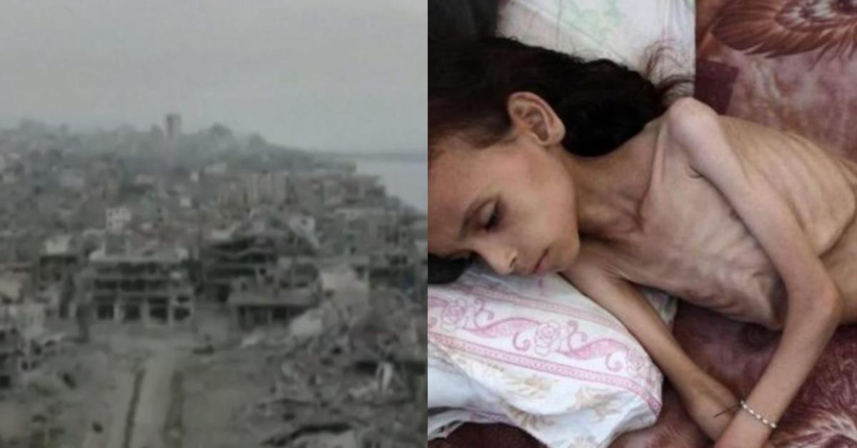 Gaza, Unrwa contro Israele: "A causa delle bombe, carestia e terre distrutte, 1kg di pomodori costava 60 centesimi, ora 15 $, famiglie senza cibo né reddito" Gaza, Unrwa contro Israele: "A causa delle bombe, carestia e terre distrutte, 1kg di pomodori costava 60 centesimi, ora 15 $, famiglie senza cibo né reddito"