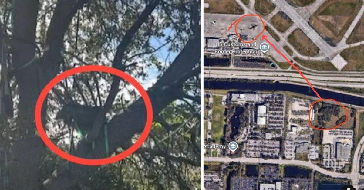 Usa, allarme attentato per Trump: trovata postazione da cecchino su un albero vicino all Usa, allarme attentato per Trump: trovata postazione da cecchino su un albero vicino all