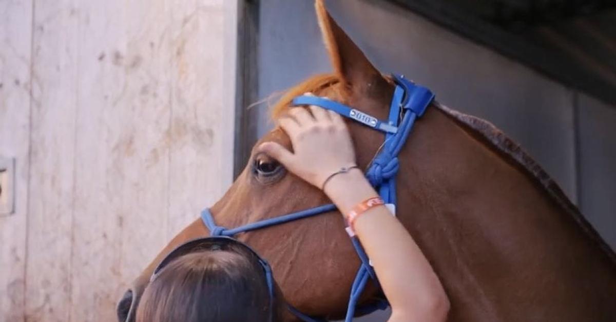 liberarsi dagli schermi con il cavallo gli adolescenti e le dipendenze tecnologiche