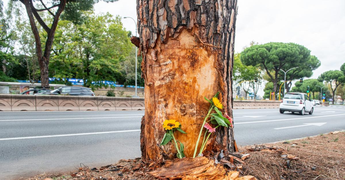 Incidente sulla Colombo a Roma, individuato il conducente dell Incidente sulla Colombo a Roma, individuato il conducente dell