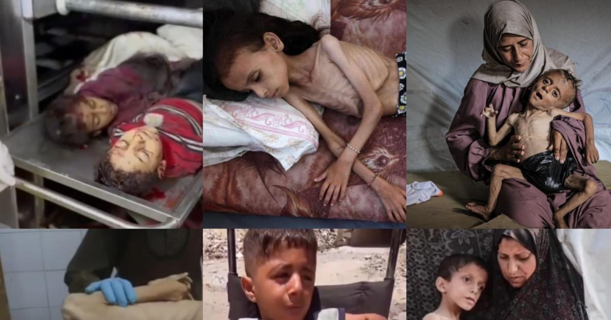 Gaza, la morte dei bambini ormai è solo un numero, lo sterminio è la fine della civiltà occidentale, siamo zombie anestetizzati, privi di anima e complici Gaza, la morte dei bambini ormai è solo un numero, lo sterminio è la fine della civiltà occidentale, siamo zombie anestetizzati, privi di anima e complici