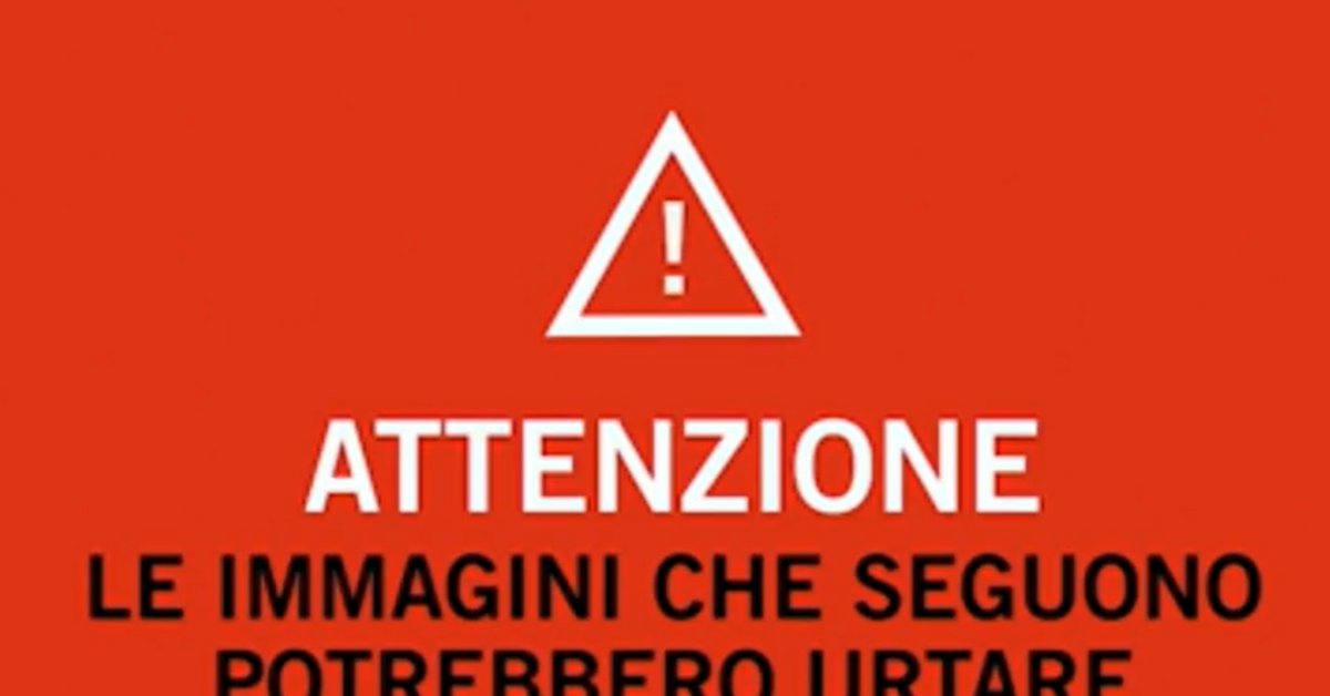 Cisgiordania, coloni israeliani assaltano fattoria palestinese, lanciati lacrimogeni all Cisgiordania, coloni israeliani assaltano fattoria palestinese, lanciati lacrimogeni all