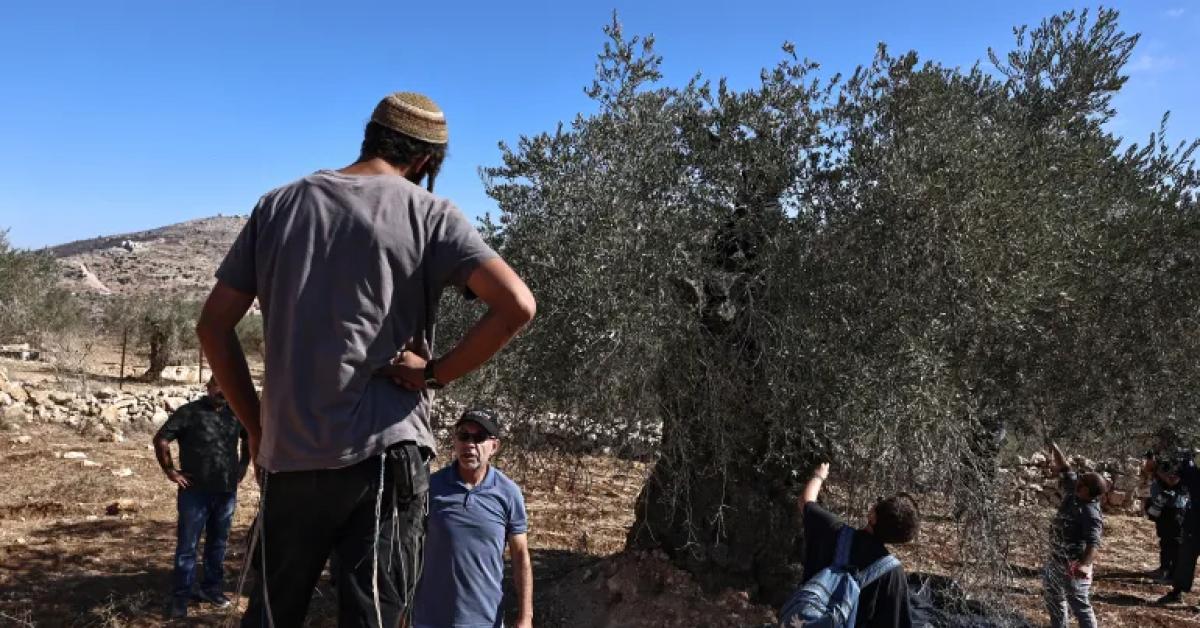 La violenza coloniale di Israele in Cisgiordania, espansionismo illegale, armato e brutale: 50 anni di violenta e vile occupazione