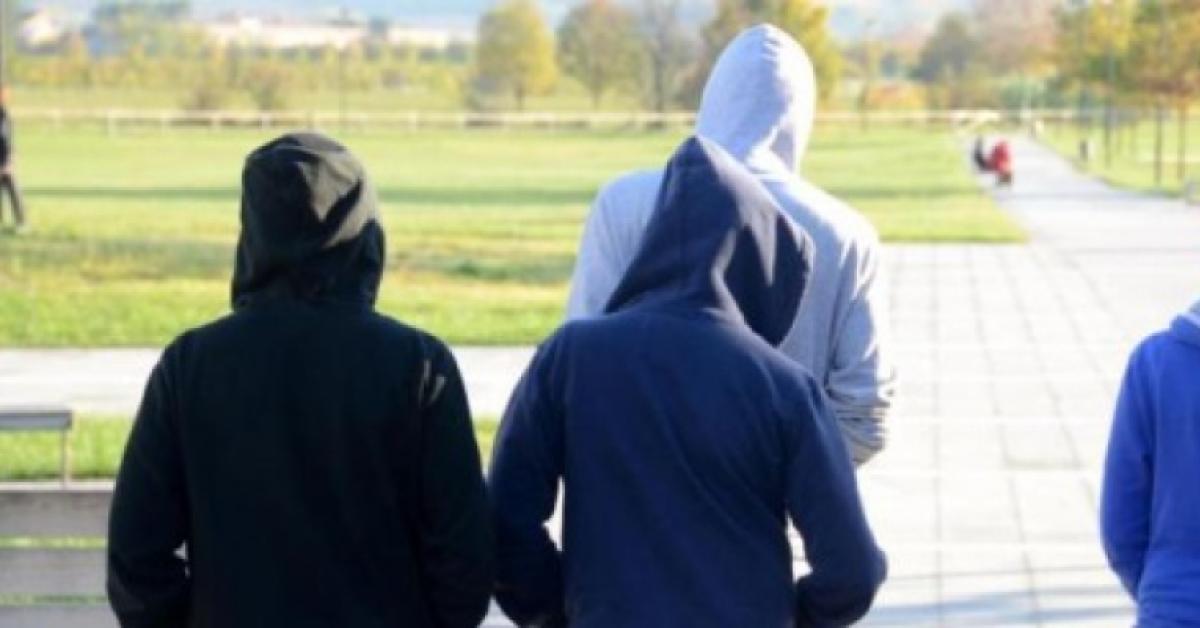 Microcriminalità in Italia, 1° causa immigrazione incontrollata per il 32% degli italiani, 9 su 10 preoccupati per baby gang Microcriminalità in Italia, 1° causa immigrazione incontrollata per il 32% degli italiani, 9 su 10 preoccupati per baby gang