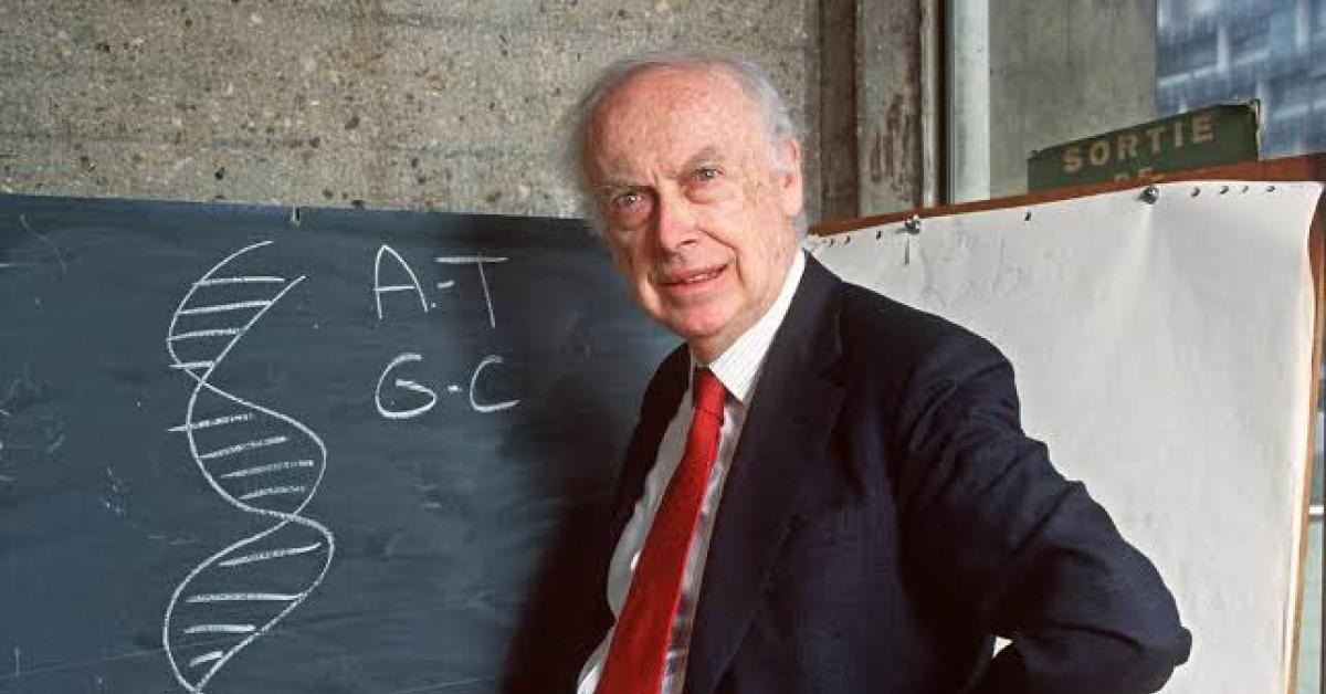 Addio a James Watson, morto a 97 anni “dopo ricovero per un’infezione” il Premio Nobel per la scoperta della struttura a doppia elica del DNA