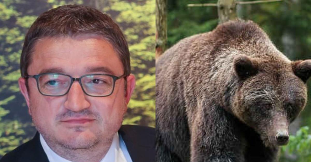 Trentino, Fugatti indagato per morte orso M90, gip: "Animale ucciso con crudeltà", governatore si arrocca: "Necessario per difendere cittadini" Trentino, Fugatti indagato per morte orso M90, gip: "Animale ucciso con crudeltà", governatore si arrocca: "Necessario per difendere cittadini"