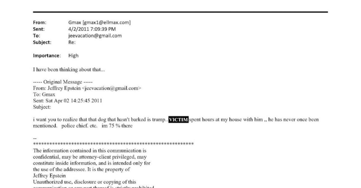 Usa, dem attaccano Trump e pubblicano “e mail di Epstein”: “Tycoon per ore a casa mia con una ragazza, sapeva del giro”