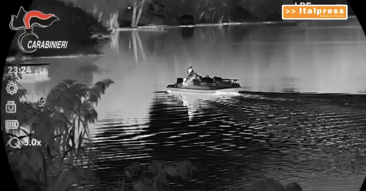 elia del grande arrestato dopo 13 giorni di latitanza a cadrezzate la fuga di notte su un pedal242 sul lago di monate video da Ilgiornaleditalia.it elia del grande arrestato dopo 13 giorni di latitanza a cadrezzate la fuga di notte su un pedal242 sul lago di monate video