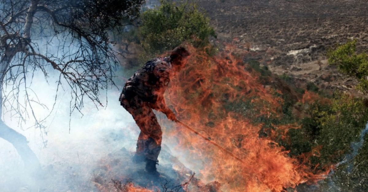 Palestina, 2,5 mln di ulivi distrutti da IDF dal 1967, le vittime del genocidio: “questi alberi sono compagni di vita, la guerra ce li sta portando via” Palestina, 2,5 mln di ulivi distrutti da IDF dal 1967, le vittime del genocidio: “questi alberi sono compagni di vita, la guerra ce li sta portando via”