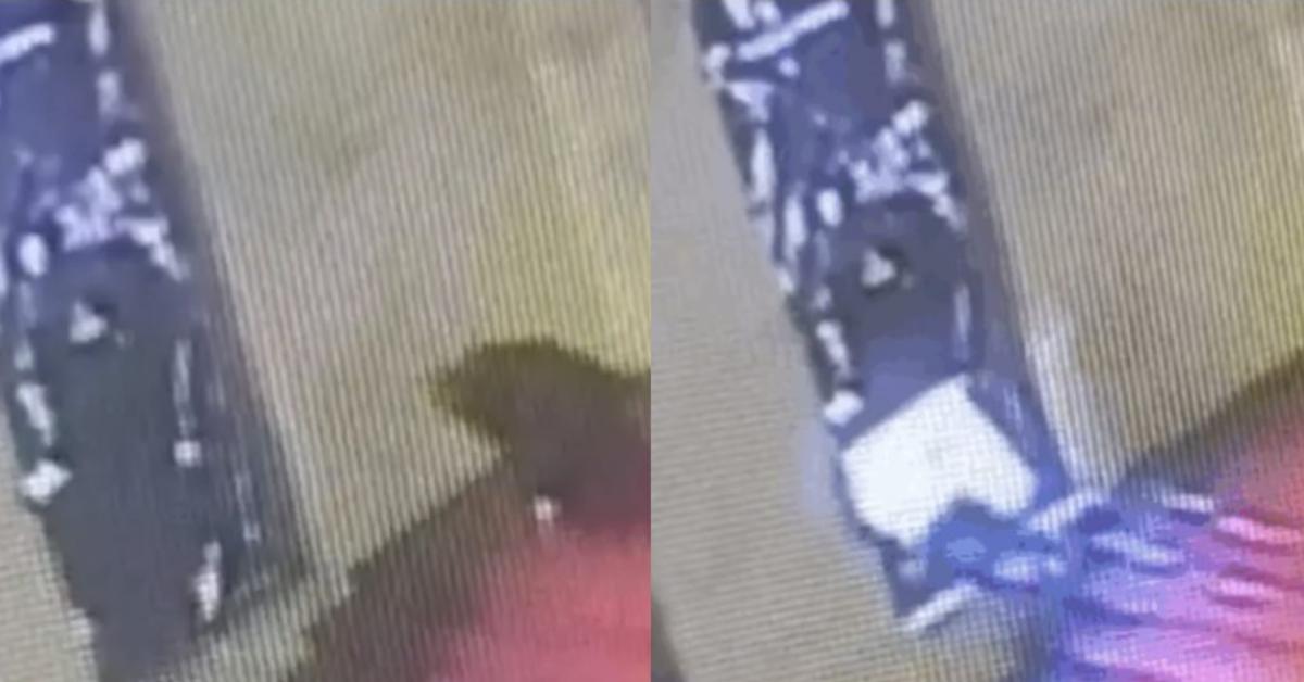 Roma, assessore Emanuele Cani scivola e sfonda la vetrata al Mimit realizzata da Sironi nel 1932, Roma, assessore Emanuele Cani scivola e sfonda la vetrata al Mimit realizzata da Sironi nel 1932,