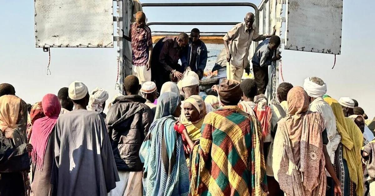 Sudan, testimoni raccontano le violenze delle Rsf dopo la presa di El Fasher: "Abbiamo visto torture, stupri e cadaveri ovunque" Sudan, testimoni raccontano le violenze delle Rsf dopo la presa di El Fasher: "Abbiamo visto torture, stupri e cadaveri ovunque"