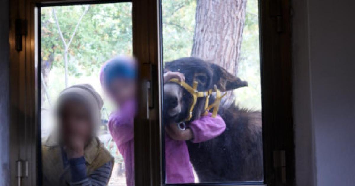 famiglia che vive nel bosco a chieti lanciata petizione dopo allontanamento 3 bambini dai genitori salvini riportateli da mamma e pap224 da Ilgiornaleditalia.it famiglia che vive nel bosco a chieti lanciata petizione dopo allontanamento 3 bambini dai genitori salvini riportateli da mamma e pap224