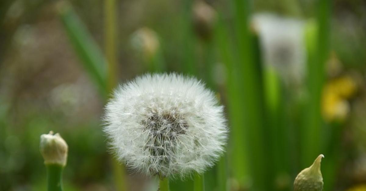 la famiglia che viveva nei boschi in abruzzo e a cui hanno portato via i figli l immagine perfetta della societ224 in cui viviamo