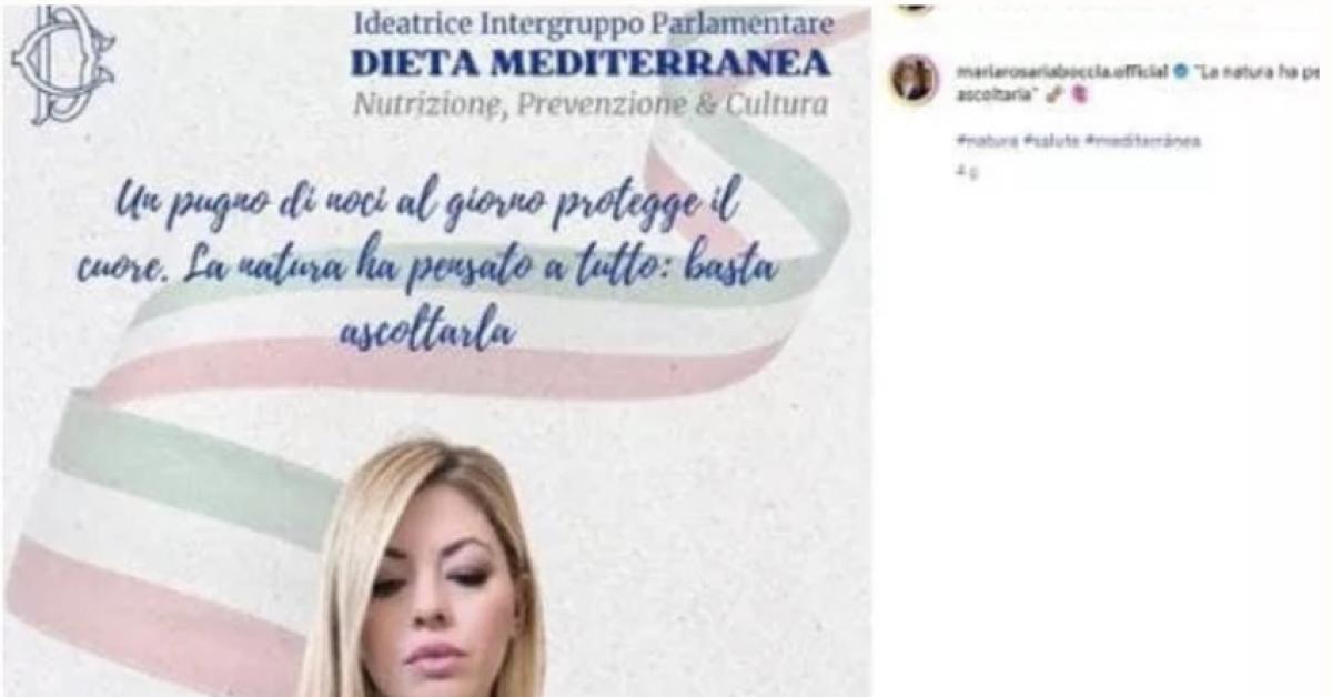 maria rosaria boccia diffidata da camera dei deputati logo montecitorio usato illecitamente per promuovere diete e chirurgia estetica sui social
