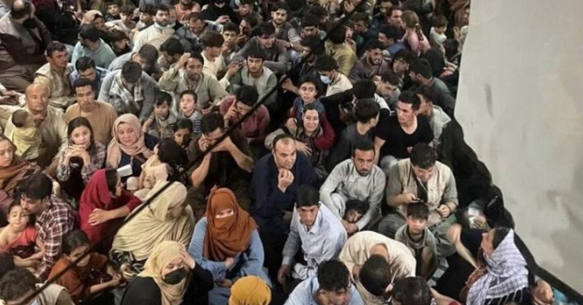 Attentato Usa, amministrazione Trump verso riesame green card stranieri di 19 Paesi, tycoon: "Stop definitivo a immigrazione da Paesi terzomondisti"