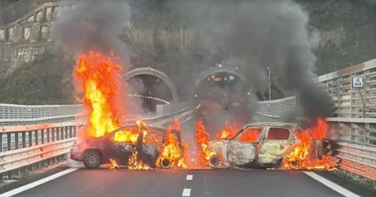 Calabria, assalto a portavalori su A2 tra Scilla e Bagnara, furgone bloccato da due auto incendiate sulla carreggiata, rapinati €2mln VIDEO Calabria, assalto a portavalori su A2 tra Scilla e Bagnara, furgone bloccato da due auto incendiate sulla carreggiata, rapinati €2mln VIDEO