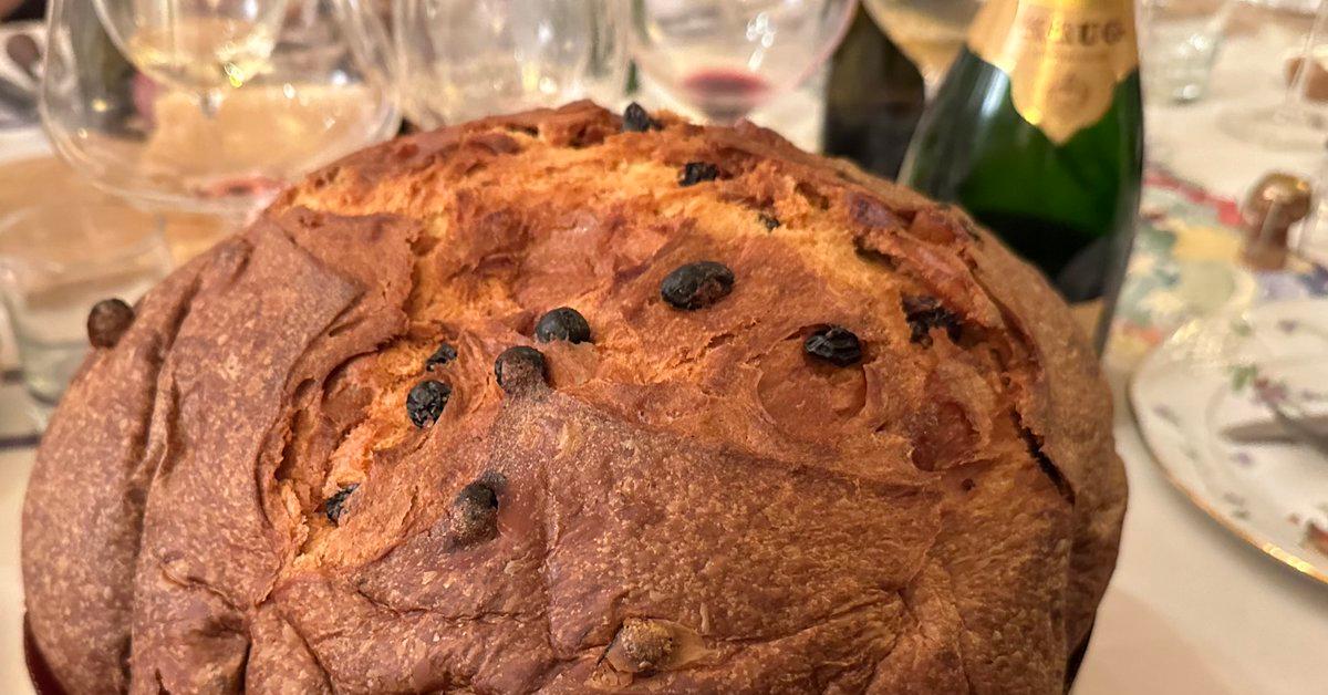 panettone con farina di grillo in arrivo per natale dolce prodotto da azienda small giants presente anche variante con larve croccanti al sale da Ilgiornaleditalia.it panettone con farina di grillo in arrivo per natale dolce prodotto da azienda small giants presente anche variante con larve croccanti al sale