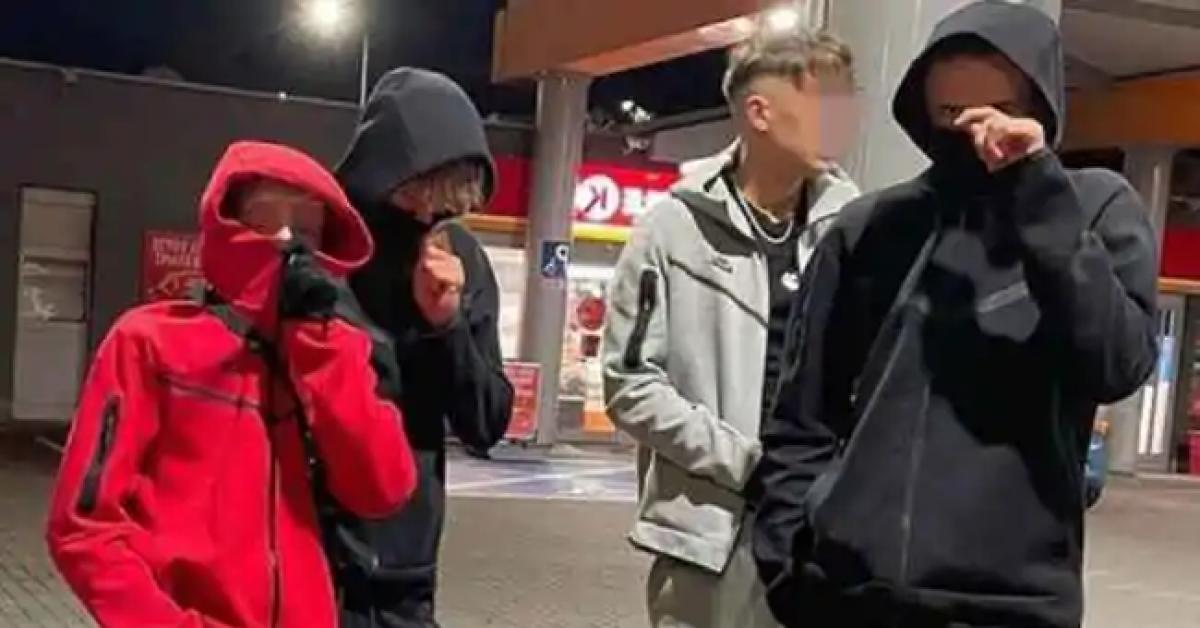 ddl sicurezza dalle norme anti maranza con stop a possesso e vendita a strumenti con lama flessibile al daspo per manifestanti violenti