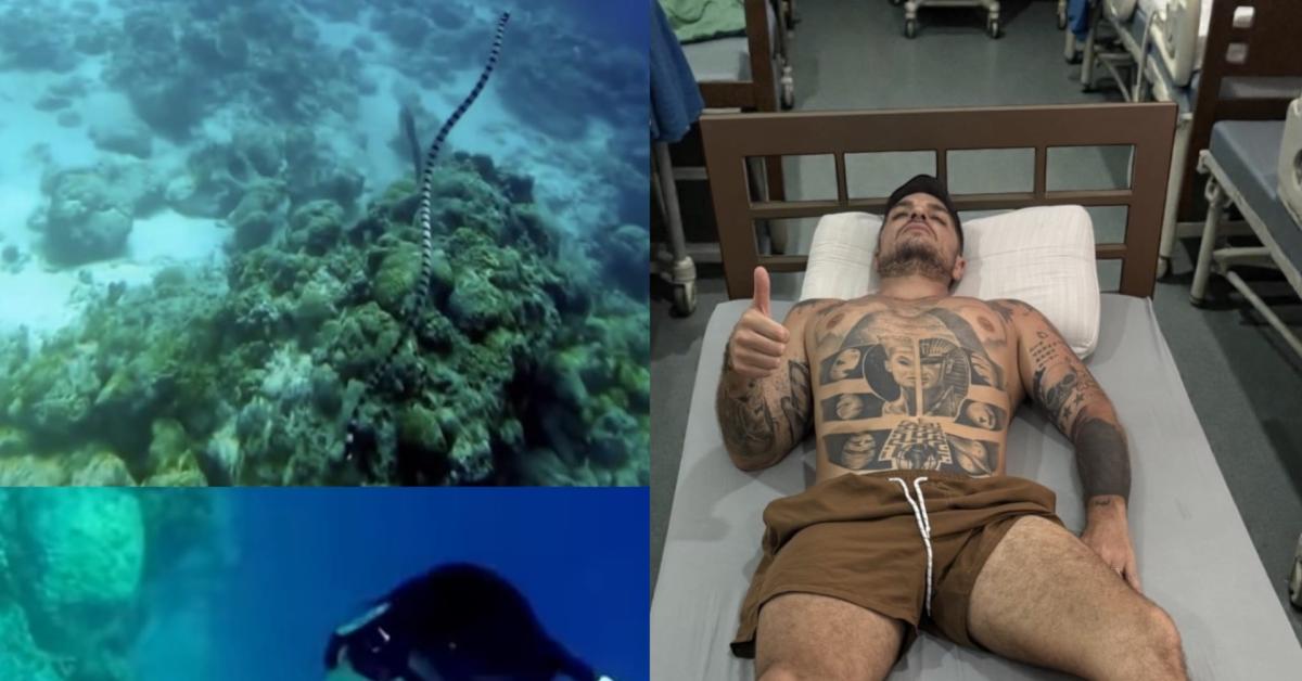 luigi favoloso morso da serpente marino velenoso mentre fa snorkeling nelle filippine ho sentito come un ago perforarmi la pelle video