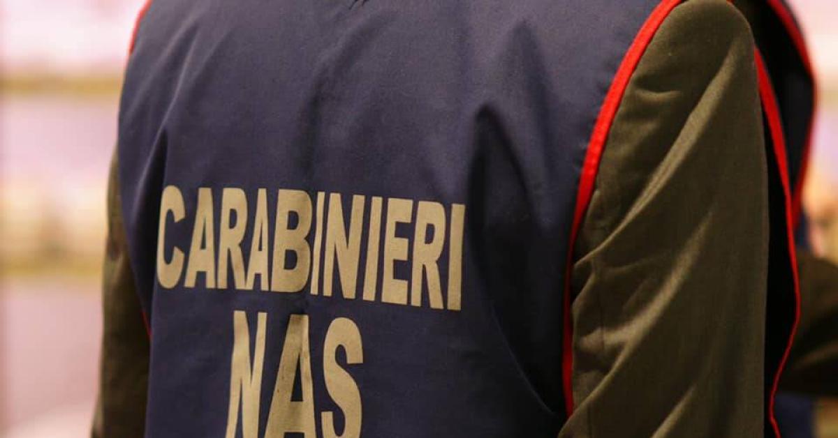 genova i nas in un anno sequestrano pi249 di quattro tonnellate di cibo spazzatura 25 le attivit224 chiuse