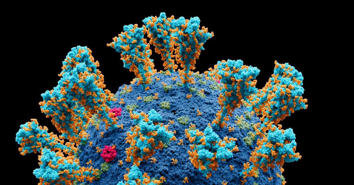 il medico genovese matteo bassetti contro belen sui vaccini e sui loro effetti uno scontro surreale