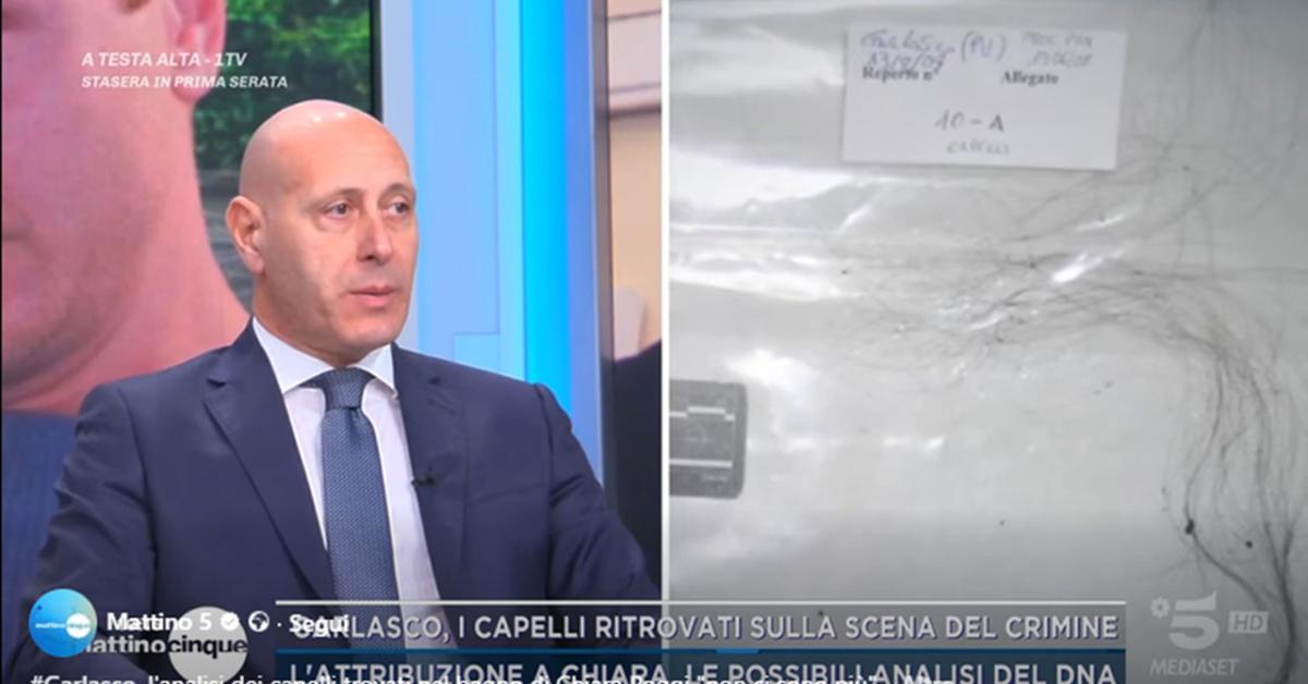 garlasco genetista linarello i capelli fotografati sulla scena non ci sono pi249 quelli nel lavandino non sono stati neanche repertati