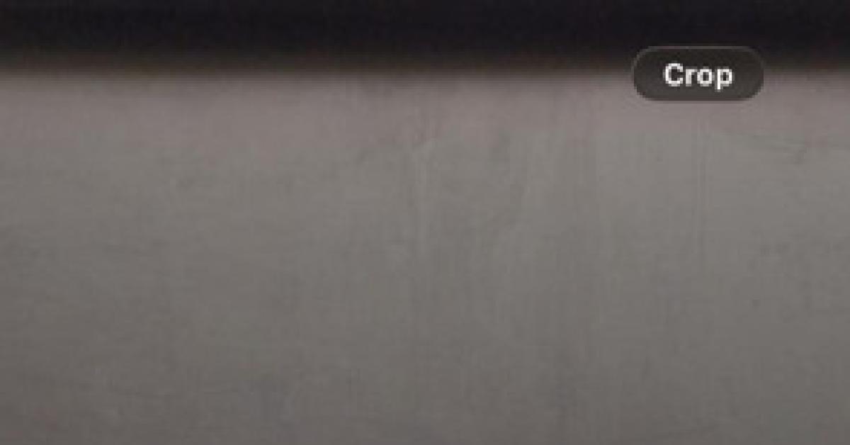 valentino e giancarlo quei ragazzi dalla vita straordinaria i love beauty it8217s not my fault il suo mantra il suo lascito ci mancher224 commosso mario joseph abate l8217avvocato storico della fondazione valentino garavani e giancarlo giammetti