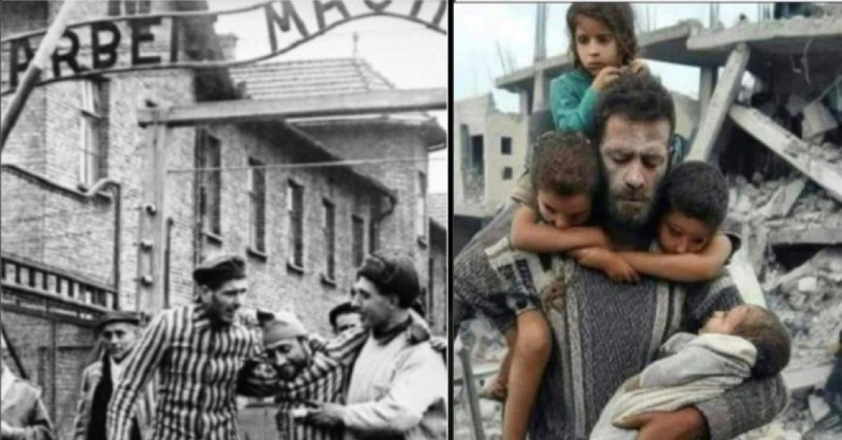 il giorno della memoria e l eredit224 tradita del mai pi249 voci ebraiche denunciano il genocidio a gaza e la memoria selettiva