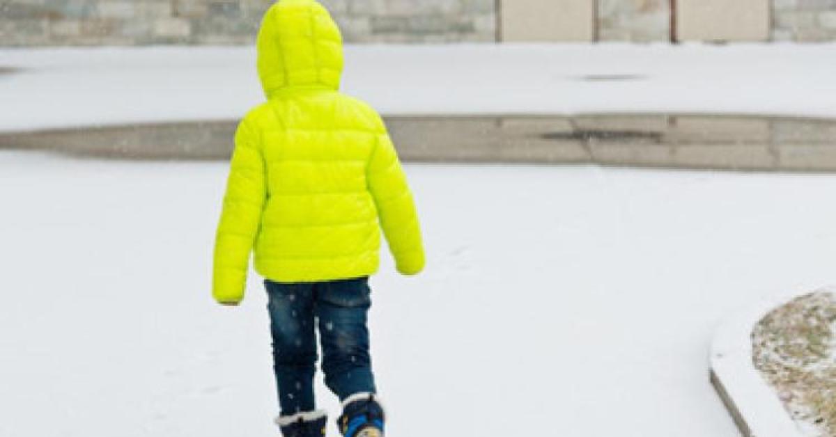 cadore bambino lasciato a piedi dall autobus e tornato a casa in ipotermia autista sospeso e denunciato aperta inchiesta