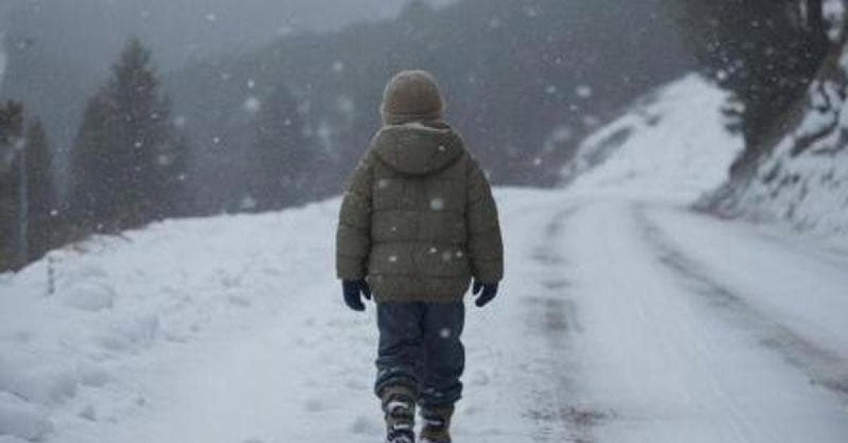 bambino 11 anni lasciato a piedi il rimorso dell autista del bus salvatore russotto ho sbagliato mi scuserei anche in ginocchio