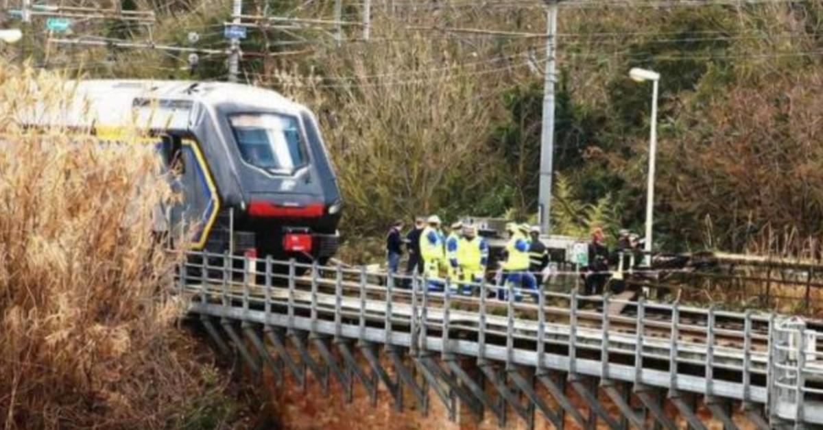 sabotaggi treni sulle linee dell8217alta velocit224 roma firenze e roma napoli cavi bruciati vicino a settebagni e labico