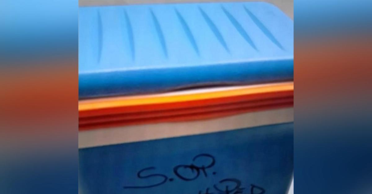 bimbo morto a napoli cuore trasportato in un box frigo il monaldi contro medici bolzano ghiaccio secco ha danneggiato l organo