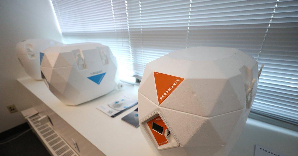 morte domenico caliendo al monaldi 3 box paragonix per conservazione organi da trapianto ma equipe non lo sapeva