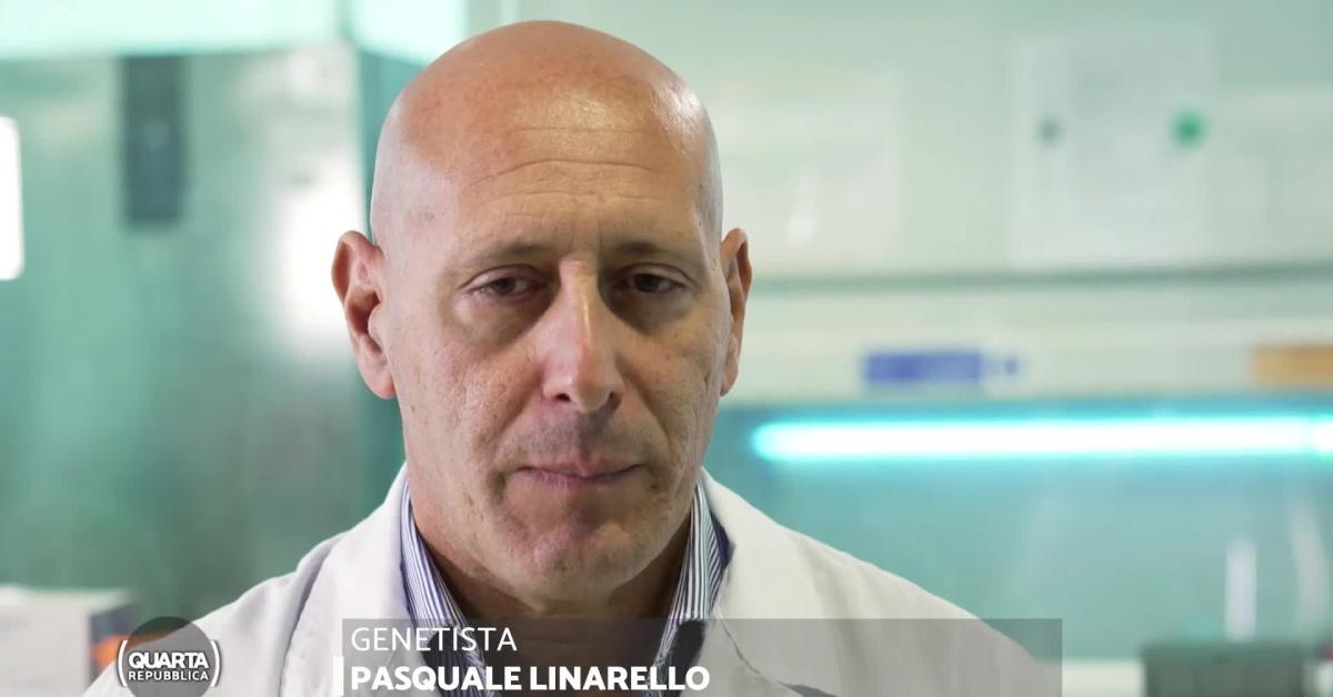 Garlasco, genetista Linarello: "Nel 2016 attribuì il DNA sulle unghie di Chiara Poggi ai Sempio, si poteva già escludere che fosse di Alberto Stasi" VIDEO Garlasco, genetista Linarello: "Nel 2016 attribuì il DNA sulle unghie di Chiara Poggi ai Sempio, si poteva già escludere che fosse di Alberto Stasi" VIDEO