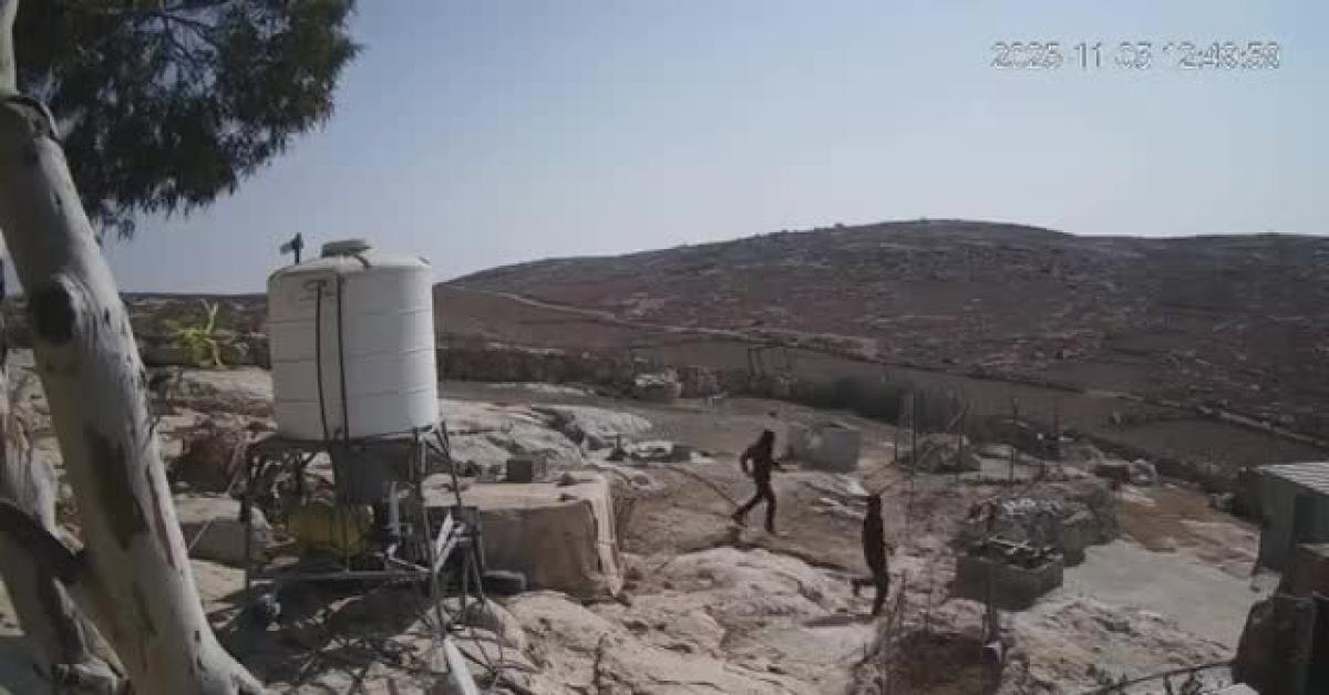 cisgiordania coloni israeliani attaccano case dei palestinesi nella comunit224 di shaab al batim a masafer yatta i raid con spranghe e bastoni video