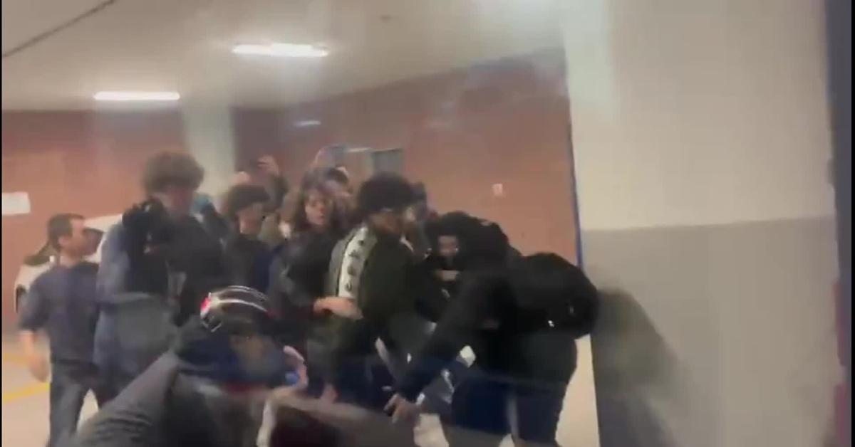 "No Meloni day", manifestazioni in 35 città contro la premier e per genocidio a Gaza, scontri a Bologna e Torino   VIDEO