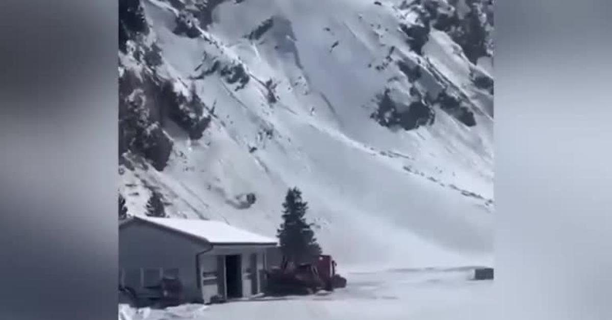 Svizzera, cabinovia a Engelberg precipitata "a causa di raffiche di vento fino a 130km/h", morta sciatrice 61enne   VIDEO