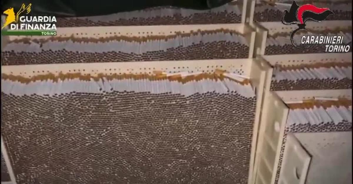 Maxi sequestro nel Torinese, trovati 250mila kg di tabacco di contrabbando in 7 siti diversi, valore di circa 175mln €, 8 arresti VIDEO Maxi sequestro nel Torinese, trovati 250mila kg di tabacco di contrabbando in 7 siti diversi, valore di circa 175mln €, 8 arresti VIDEO