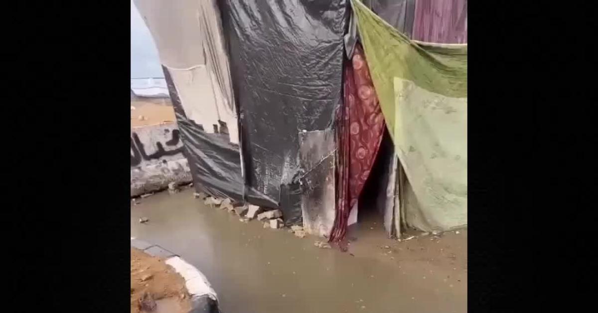 gaza allagamenti nei campi per rifugiati per forti piogge ong il 93 232 inabitabile e israele non fa entrare aiuti video da Ilgiornaleditalia.it gaza allagamenti nei campi per rifugiati per forti piogge ong il 93 232 inabitabile e israele non fa entrare aiuti video