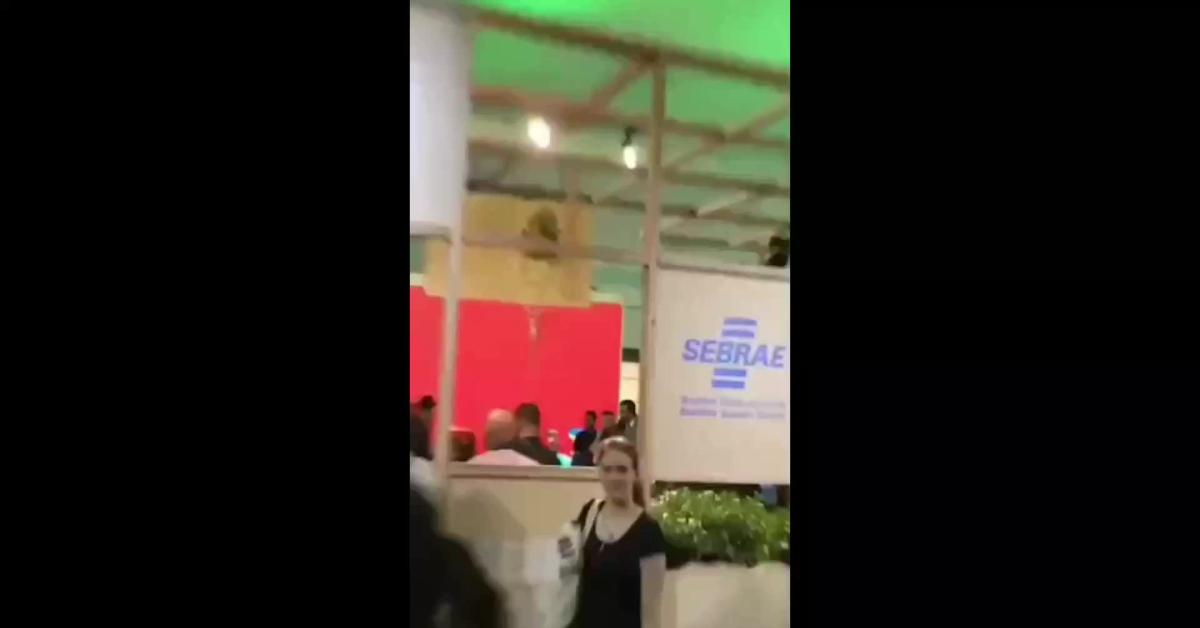 COP30, delegazione israeliana espulsa durante conferenza ONU sul clima, attivisti protestano: ”No all’entità genocidiaria”   VIDEO