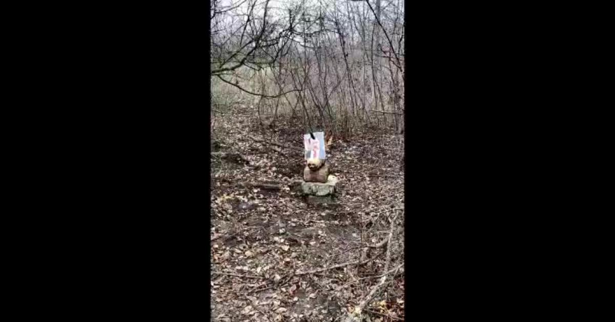 Sparo alla testa di un maiale con la foto di Salvini attaccata sopra, le minacce dopo le frasi del ministro su stop armi a Kiev VIDEO Sparo alla testa di un maiale con la foto di Salvini attaccata sopra, le minacce dopo le frasi del ministro su stop armi a Kiev VIDEO