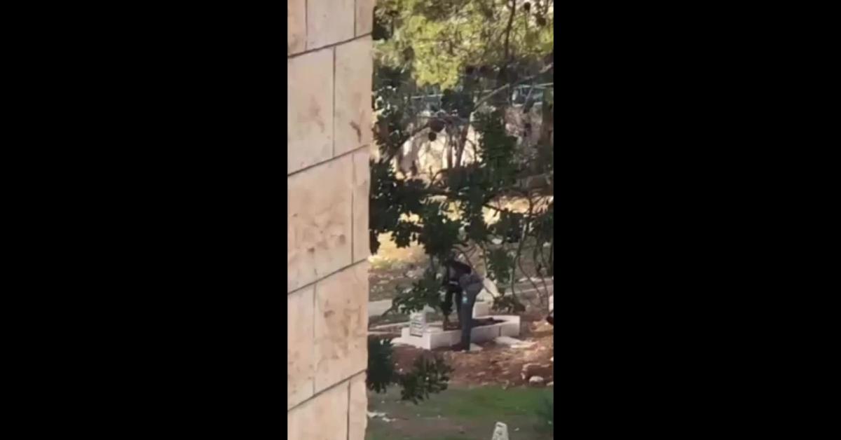 Cisgiordania, soldato Idf profana tomba palestinese nel villaggio di Misliya, distruggendola e scavando la terra con i piedi VIDEO Cisgiordania, soldato Idf profana tomba palestinese nel villaggio di Misliya, distruggendola e scavando la terra con i piedi VIDEO