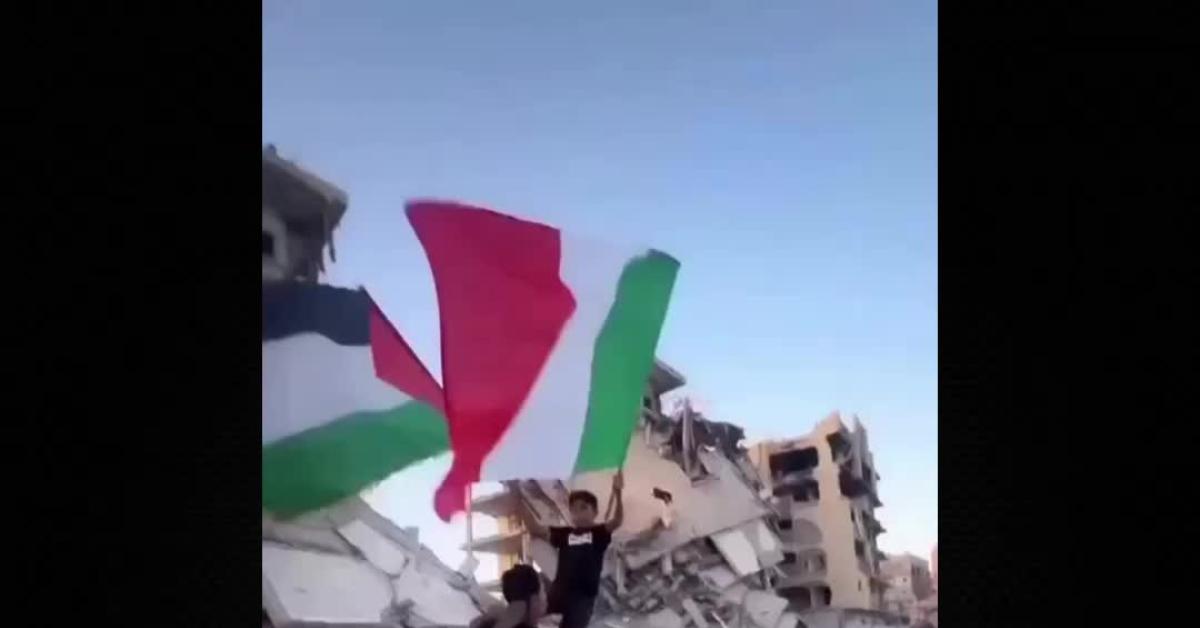Gaza, due ragazzi sventolano bandiere di Palestina e Italia insieme: "Grazie per la vostra solidarietà e sostegno" VIDEO Gaza, due ragazzi sventolano bandiere di Palestina e Italia insieme: "Grazie per la vostra solidarietà e sostegno" VIDEO
