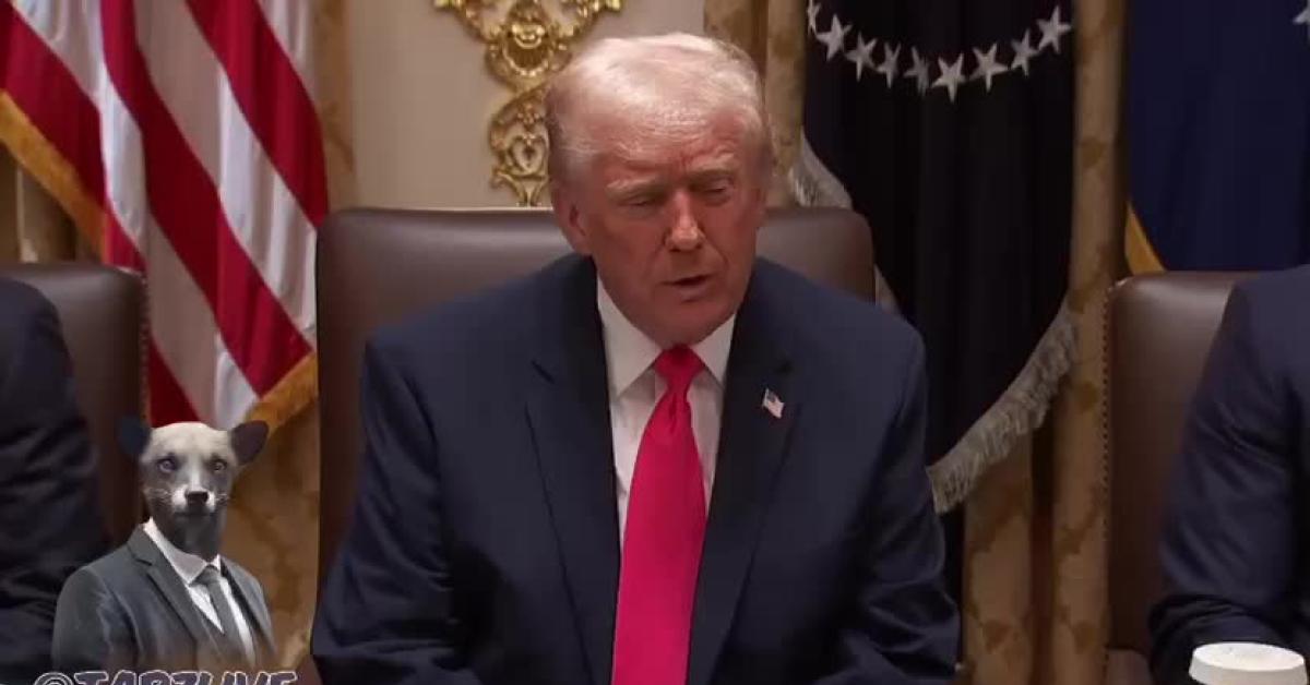 Usa, Trump: "Guerra in Ucraina è un disastro; se la vincessi? Mi spetterebbe un Nobel per ogni conflitto, ma non voglio essere avido"   VIDEO