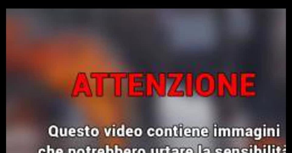Gaza City, almeno 7 palestinesi “appartenenti a clan rivale finanziato da Israele” giustiziati da Hamas al grido di “Allah Akbar” VIDEO CHOC Gaza City, almeno 7 palestinesi “appartenenti a clan rivale finanziato da Israele” giustiziati da Hamas al grido di “Allah Akbar” VIDEO CHOC
