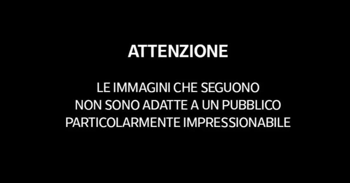 Milano, il VIDEO del 22enne accoltellato in corso Como il 12 ottobre: colpito da 5 ragazzi con fendenti al gluteo e alla schiena VIDEO Milano, il VIDEO del 22enne accoltellato in corso Como il 12 ottobre: colpito da 5 ragazzi con fendenti al gluteo e alla schiena VIDEO