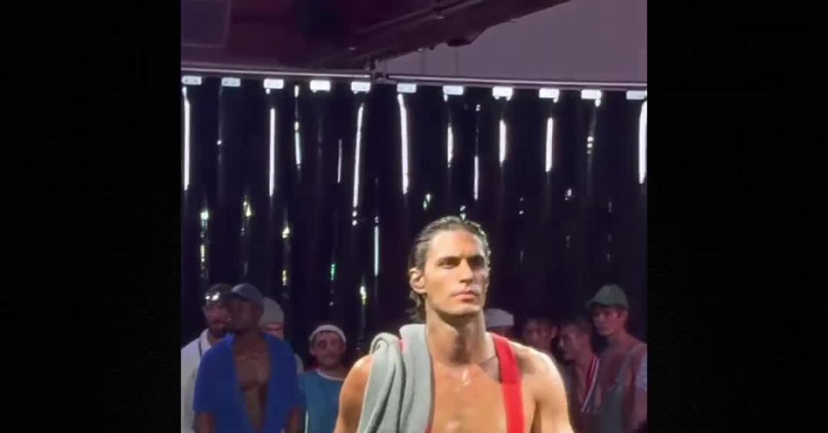 New York, collezione abiti di lana di pecore gay sfila per la prima volta, Stücke: "Arieti omosessuali discriminati in allevamenti"