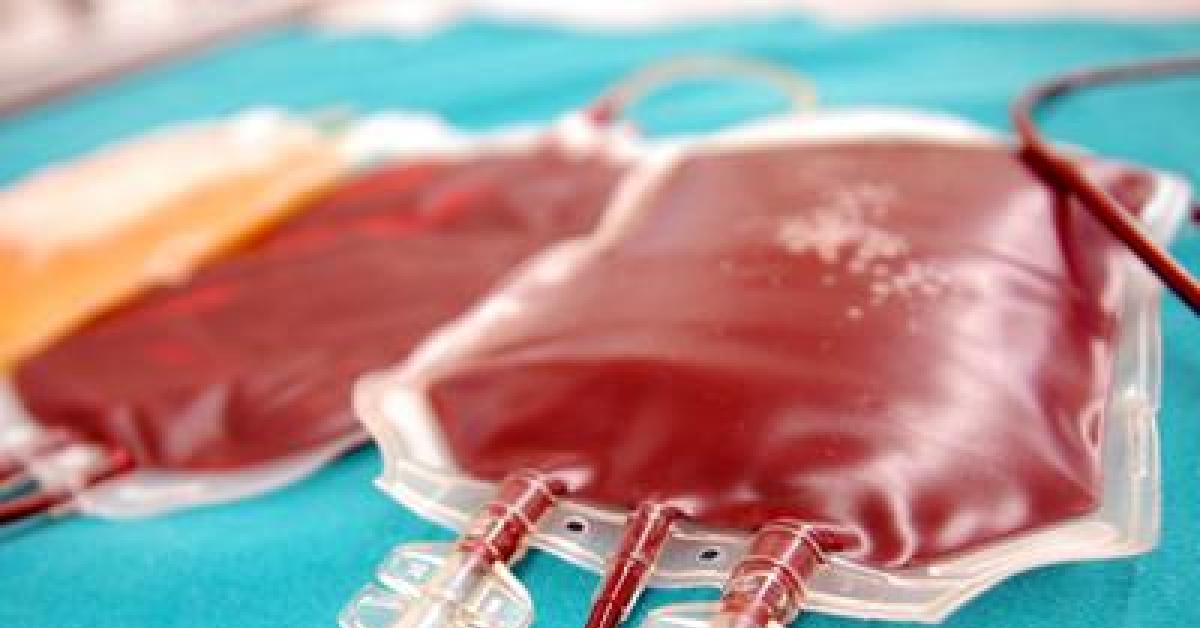 ancona buttati 6 quintali di sangue dall ospedale torrette 1600 sacche di plasma nella spazzatura per negligenze organizzative da Ilgiornaleditalia.it ancona buttati 6 quintali di sangue dall ospedale torrette 1600 sacche di plasma nella spazzatura per negligenze organizzative