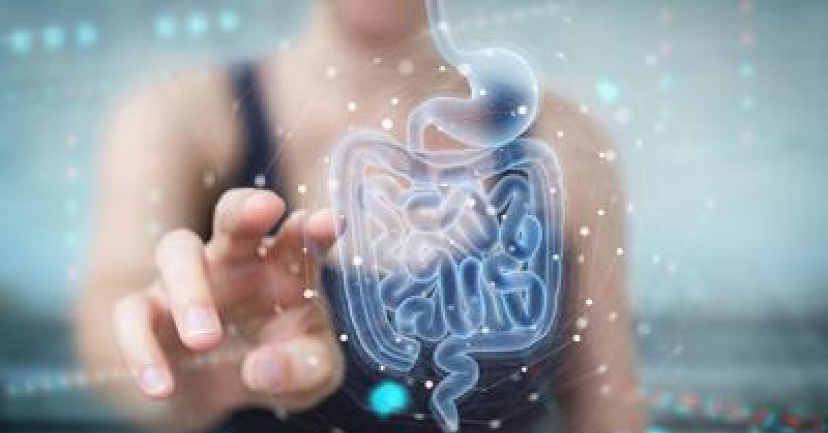 medicina scoperto perch233 asma e allergie alimentari cambiano nascono da microbiota